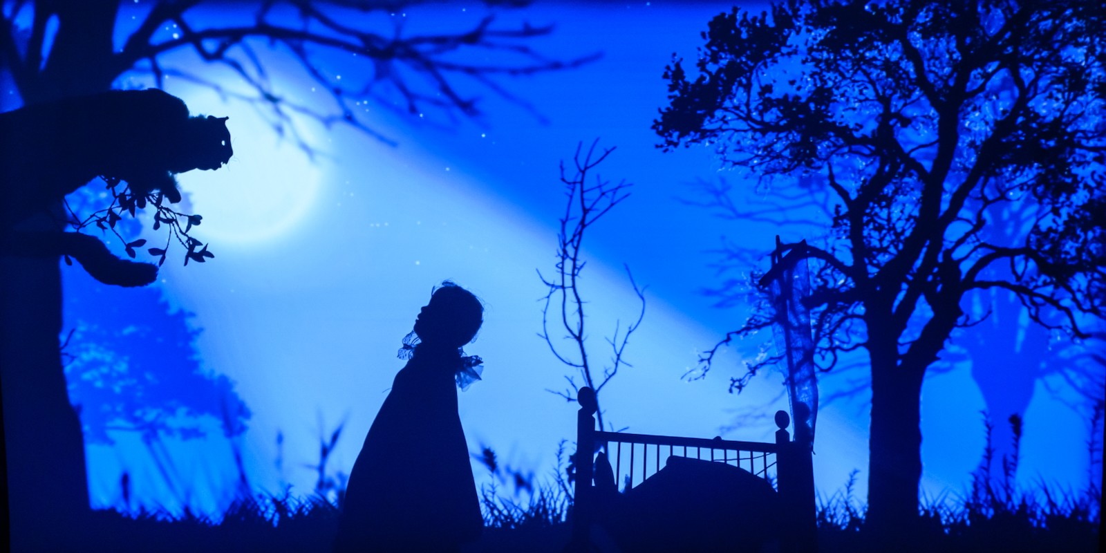 Shadow theatre